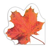 Ubrousky MAKI R (12ks) Autumn Leaf