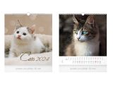 kalendář 2024 nástěnný malý Cats 1061443