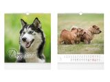 kalendář 2027 nástěnný malý Dogs 1061734 kalendář 2027 nástěnný malý Dogs 1061734