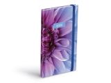 diář 2026 T806 Lamino 1 s gumkou 90x170mm 7781507