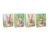 Dárková taška M 26x32x10 cm Velikonoce  W055349