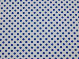 Fotokarton s puntíky 300g 50x70cm modrobílý 5930