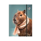 Desky s gumičkou Capybara, karton, A4, OPTISCHOOL 27IGM00-004