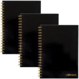 Spirálový sešit Carpe Diem, černá, B5, linkovaný, 80 listů, FSC, PUKKA BAD 9375-CD