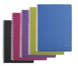 Blok kroužkový Clairefontaine Linicolor intesive A4 - čtvereček / 90 listů / mix barev