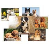 Pohlednice - psi / mix Pohlednice - psi / mix
