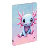 Box na sešity A4 - Axolotl