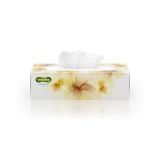 Kapesníčky papírové Paloma Balsam - třívrstvé / 80 ks Kapesníčky papírové Paloma Balsam - třívrstvé / 80 ks