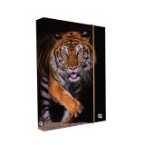 Box A4 na sešity Jumbo - Tiger