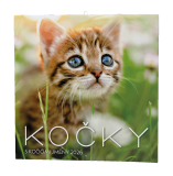 Kalendář nástěnný poznámkový - Kočky / BNL1 Kalendář nástěnný poznámkový - Kočky / BNL1