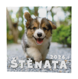 Kalendář nástěnný poznámkový - Štěňata / BNL2