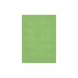 Barevný karton - A4 / 180 g / zelená Barevný karton - A4 / 180 g / zelená