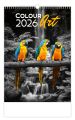 Nástěnný kalendář 2026 Colour Art