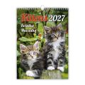 Nástenný kalendár 2027 Kittens/Koťátka/Mačičky Nástenný kalendár 2027 Kittens/Koťátka/Mačičky
