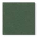Ubrousky PAW AIRLAID L 40x40cm Unicolor Dark Green