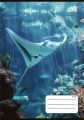 Sešit Ocean World, 27-32, mix motivů, A5, čtverečkovaný, 32 listů, COOL BY VICTORIA Sešit Ocean World, 27-32, mix motivů, A5, čtverečkovaný, 32 listů, COOL BY VICTORIA