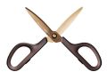 Nůžky Fitcut Curve Premium, bronz, univerzální, 17,5 cm, PLUS 35058