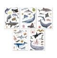 Samolepka Stickers, mořští živočichové, odstranitelné, 50 ks, APLI Kids 19428 ,balení 50 ks