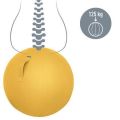 Gymnastický míč na sezení Ergo Cosy, tmavě žlutá, 65 cm, LEITZ 52790019