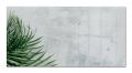 Magnetická skleněná tabule Artverum®, botanika, 91 x 46 x 1,5 cm, SIGEL GL288