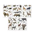 Samolepka Stickers, zvířata savany, odstranitelné, 50 ks, APLI Kids 19427 ,balení 50 ks