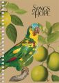 Spirálový sešit Spring Hope, mix motivů, A6, čtverečkovaný, 80 listů, SHKOLYARYK A6-SC-080-6142K