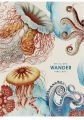 Sešit Wander, čtverečkovaný, mix, A4, 80 listů, SHKOLYARYK A4-080-5081K