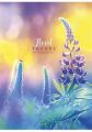 Sešit Floral Theory, mix motivů, A4, čtverečkovaný, 80 listů, SHKOLYARYK A4-080-5266K Sešit Floral Theory, mix motivů, A4, čtverečkovaný, 80 listů, SHKOLYARYK A4-080-5266K