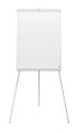 Flipchart tabule Premium Plus, bílá, 70 x 100 cm, EcoLabel, magnetická, NOBO 1915701