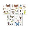 Samolepka Stickers, hmyz, odstranitelné, 50 ks, APLI Kids 19429 ,balení 50 ks