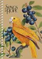 Spirálový sešit Spring Hope, mix motivů, A6, čtverečkovaný, 80 listů, SHKOLYARYK A6-SC-080-6142K