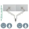 Držák na monitor Ergo Dual, světle šedá, 2 ramena, LEITZ 65370085 Držák na monitor Ergo Dual, světle šedá, 2 ramena, LEITZ 65370085