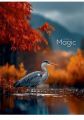 Sešit Colorful Magic, mix motivů, A4, čtverečkovaný, 80 listů, SHKOLYARYK A4-080-5263K Sešit Colorful Magic, mix motivů, A4, čtverečkovaný, 80 listů, SHKOLYARYK A4-080-5263K