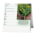 Kalendář stolní MINI Léčivé rostliny / BSK6