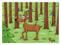 Omalovánky A5 - Lesní zvířátka Omalovánky A5 - Lesní zvířátka