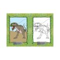 Omalovánky A5 - Dinosauři