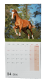 Kalendář nástěnný poznámkový - Koně / BNL3
