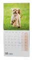Kalendář nástěnný poznámkový - Štěňata / BNL2