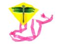 Drak 119199 27x33cm