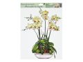 Okenní fólie 887 orchideje 42x30cm