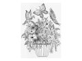 omalovánky antistresové Motýlí zahrady 210x290mm/32s 5301079