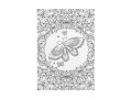 omalovánky antistresové Motýlí zahrada 210x290mm/32s 5301241