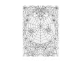 omalovánky antistresové Krásy přírody 210x290mm/32s 5301251
