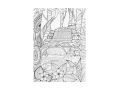 omalovánky antistresové Krásy přírody 210x290mm/32s 5301251