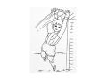 omalovánky A4 Fotbal 210x295mm/16 5301257