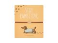 gifty - Wooden Display Little Companion 36ks 6660039 gifty - Wooden Display Little Companion 36ks 6660039