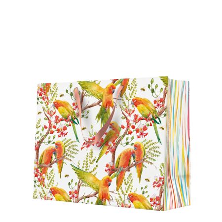 Dárková taška horizontal 33,5x26,5x13 cm Exotic Birds