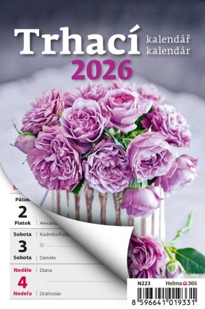 Nástěnný kalendář 2026 Týdenní trhací A6