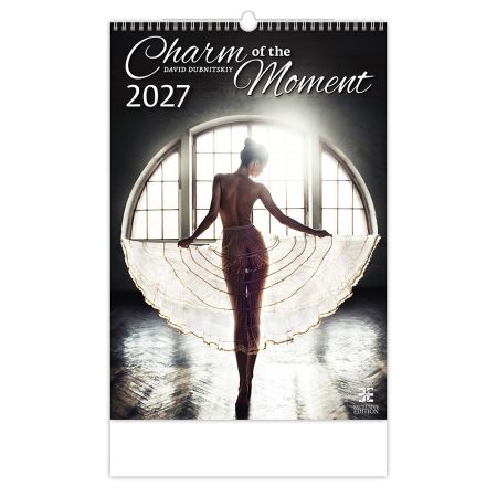 Nástenný kalendár 2027 Charm of the Moment