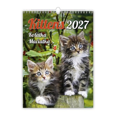 Nástenný kalendár 2027 Kittens/Koťátka/Mačičky Nástenný kalendár 2027 Kittens/Koťátka/Mačičky